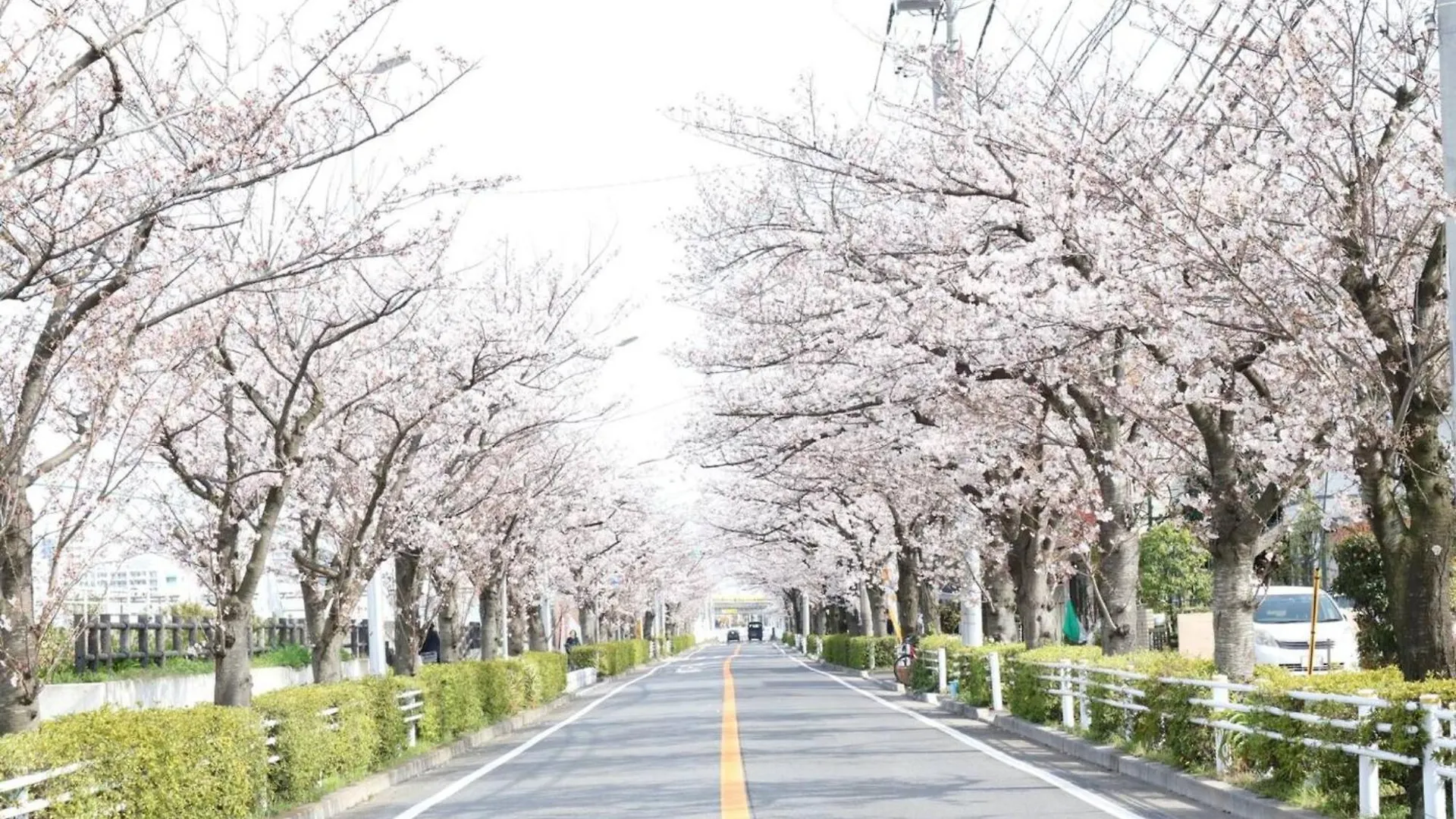 Maison Cresta Urayasu - Vacation Stay 11150 0*,  Japonsko